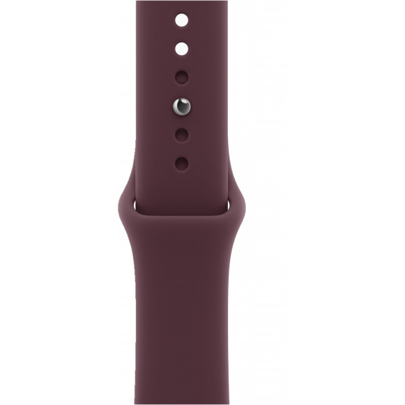 Apple Watch S12 46 mm Dark Bronze / Aluminum Case