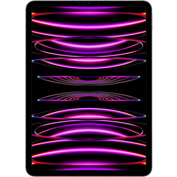 Apple iPad Pro 12.9 WiFi Space Gray 1T  (2022)