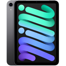 Купить Apple iPad Mini 6 (2021) 64GB Wi-Fi Space Gray