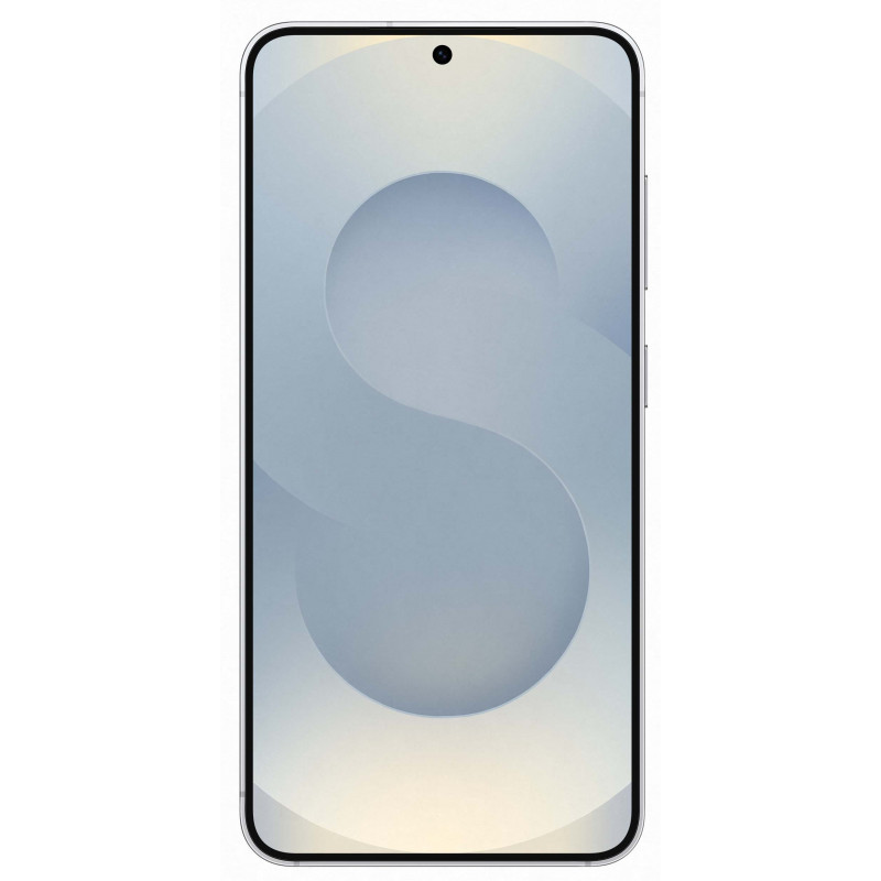 Samsung Galaxy S25 Plus 12/256Gb Silver Shadow